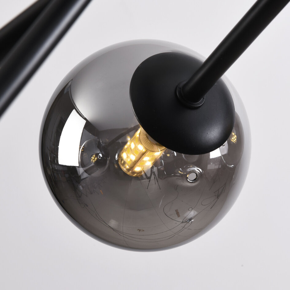 Zwarte plafondlamp met smoke glas en spiegeleffect, 6-lichts - Leon