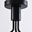 Zwarte plafondlamp met smoke glas en spiegeleffect, 6-lichts - Leon