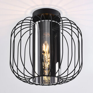 Design plafondlamp met smoke glas - Dide