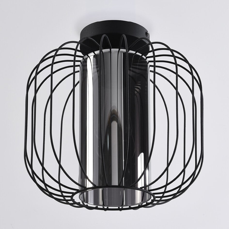 Design plafondlamp met smoke glas - Dide