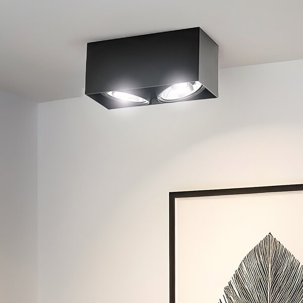 AR111 opbouwspot 2-lichts Brooklyn - zwart