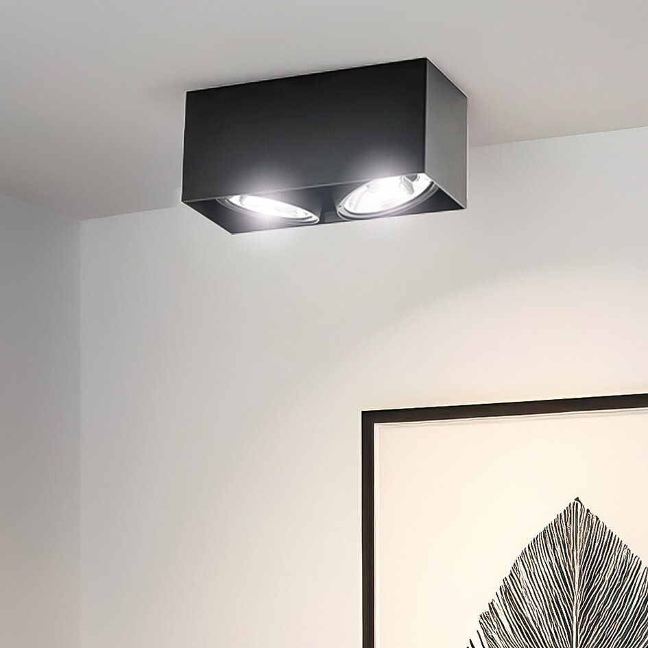 AR111 opbouwspot 2-lichts Brooklyn - zwart