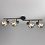 Zwarte plafondlamp met smoke glas en spiegeleffect, 4-lichts - Jenthe