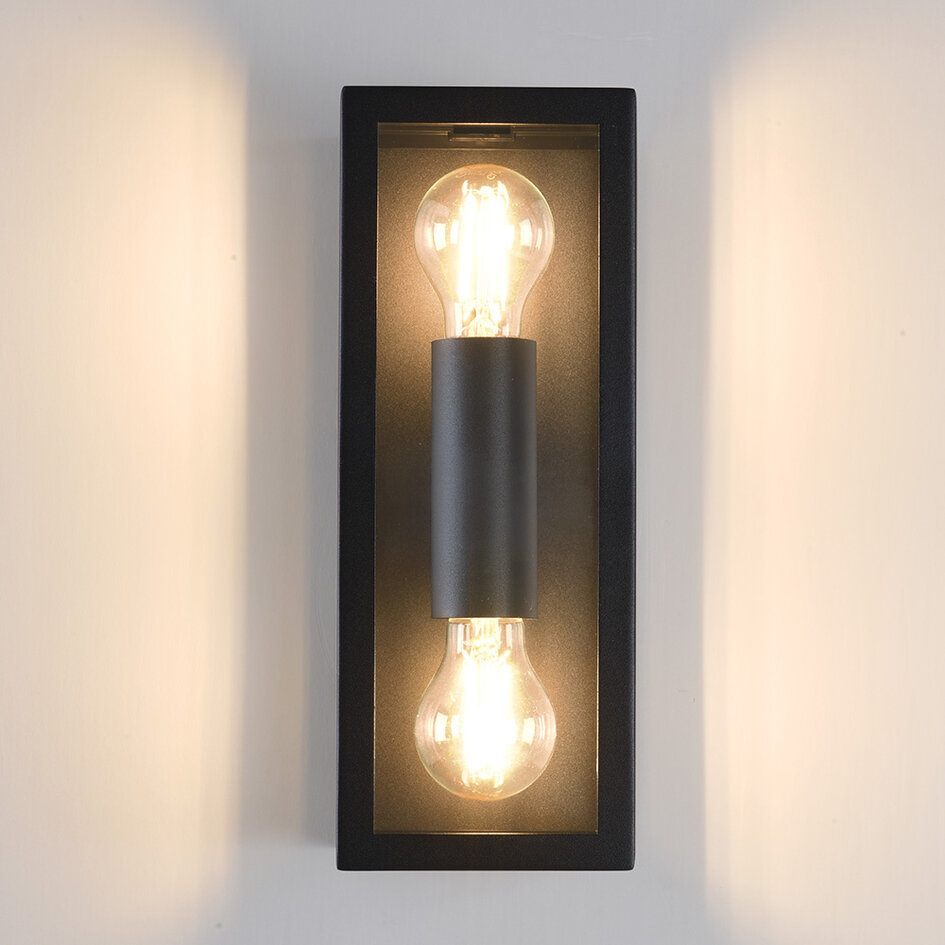 RVS zwarte wandlamp Diana 2-lichts met glas