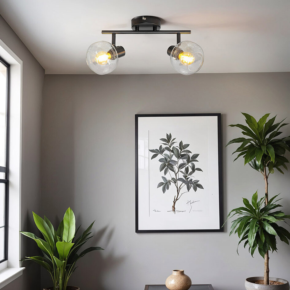 Plafondlamp zwart met transparant glas, 2-lichts - Jenthe