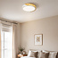 Plafondlamp dimbaar met houten detail - Jano
