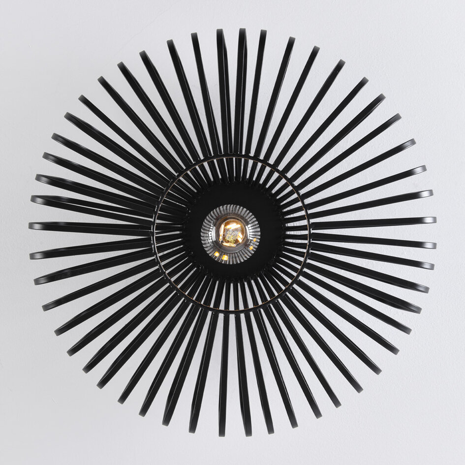 1-lichts plafondlamp Metallo - zwart