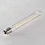 E27 buislamp LED dimbaar helder glas 22,5 cm (2700K)