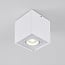 Design spot Carl, kantelbaar in wit