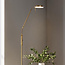 Vloerlamp Lumina brons met geïntegreerde LEDs en aanpasbare kleurtemperatuur