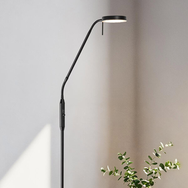 Vloerlamp Lumina zwart met geïntegreerde LEDs en aanpasbare kleurtemperatuur