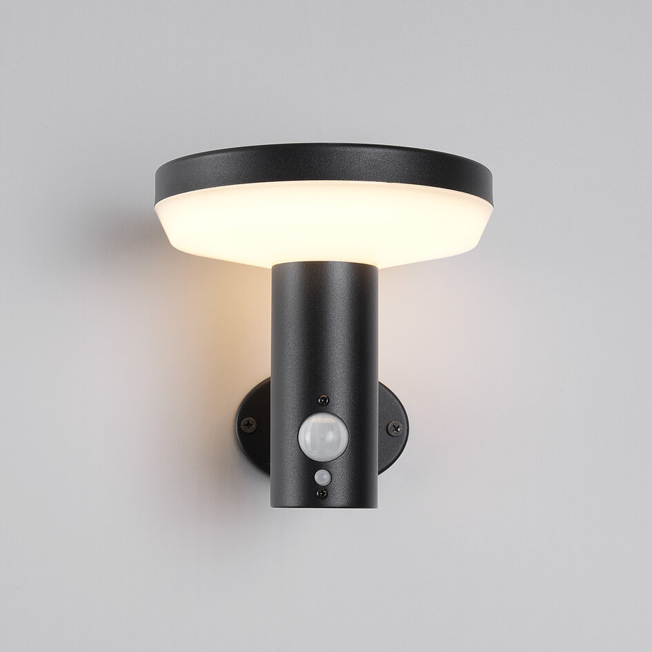 Moderne solar buitenwandlamp met sensor - Dimmy