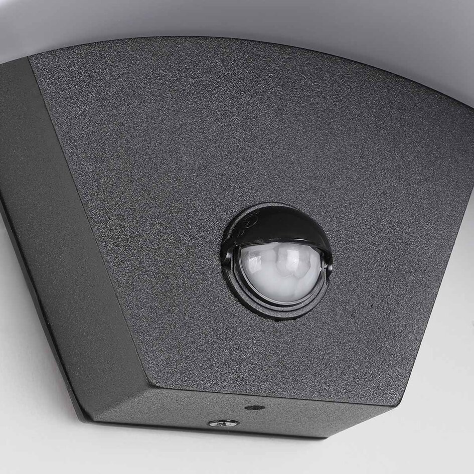 Design buitenwandlamp Vic met sensor - zwart met geïntegreerde LED