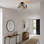 Plafondlamp Dome zwart met smoke glas