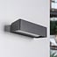 Design buitenwandlamp Raf - antraciet met geïntegreerde LED