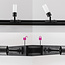 Zwarte 1-fase railspot Vexa met matte diffuser