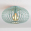 Plafondlamp Fiore 1-lichts in groen