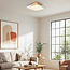 Plafondlamp dimbaar met houten details - Meta