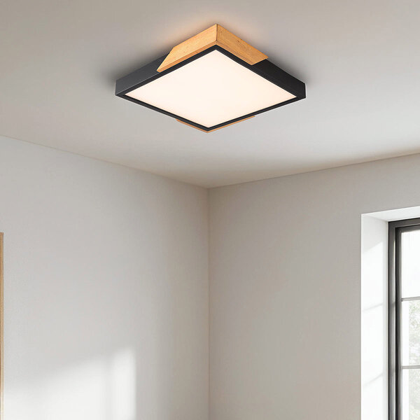Plafondlamp dimbaar met houten details Meta - zwart