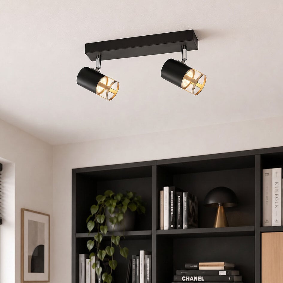 Industriële plafondlamp Oscar 2-lichts in zwart met goud