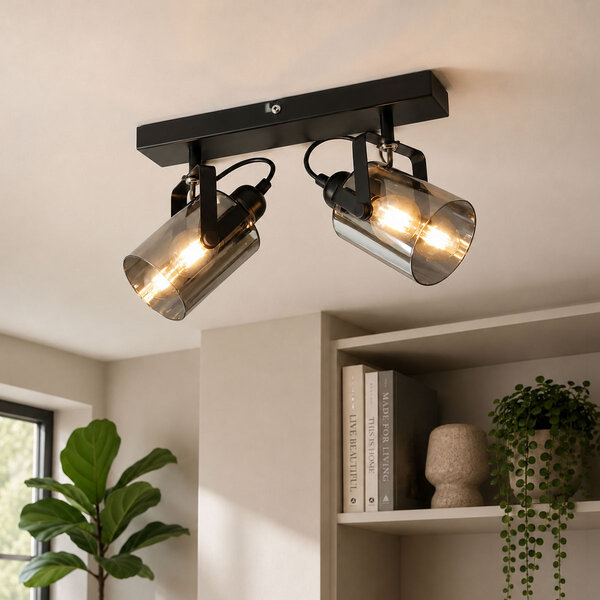 Plafondlamp met smoke grijs glas, 2-lichts - Ryan