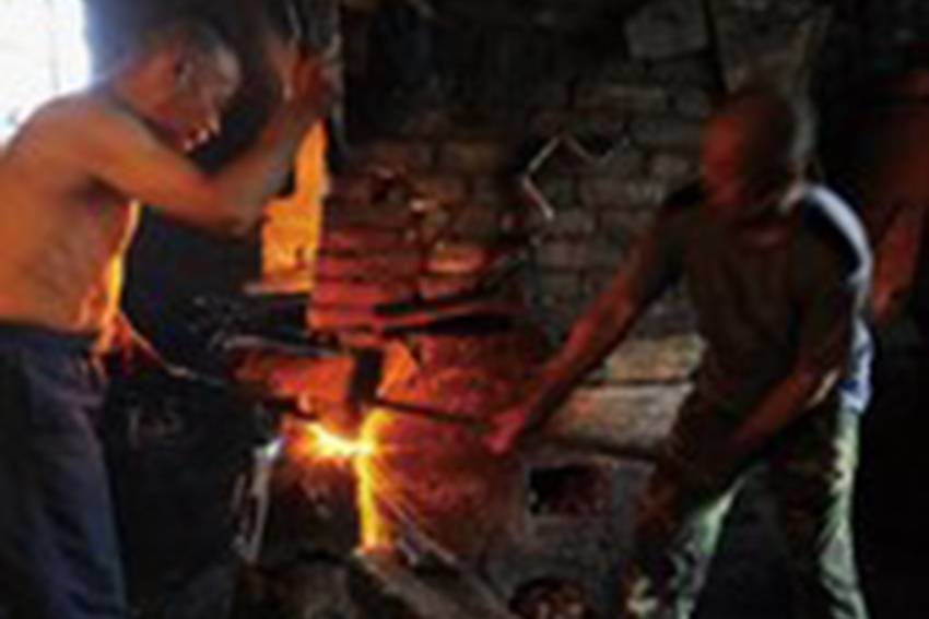 Olive Forged Koksmes