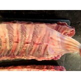 Spare ribs - Breed