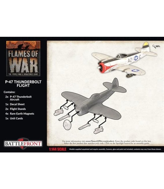 P-47 Thunderbolt Fighter Flight