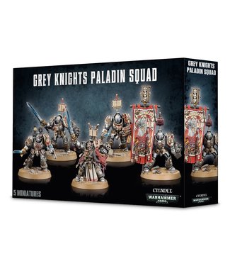 Warhammer 40.000 Grey Knights Paladins / Terminator Squad
