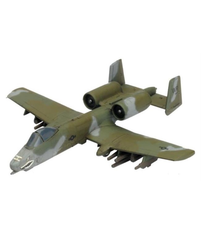 A-10 Warthog Fighter Flight