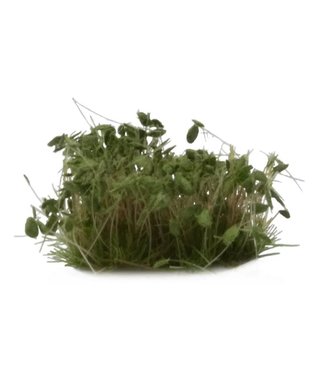 GamersGrass Dark Green Shrub