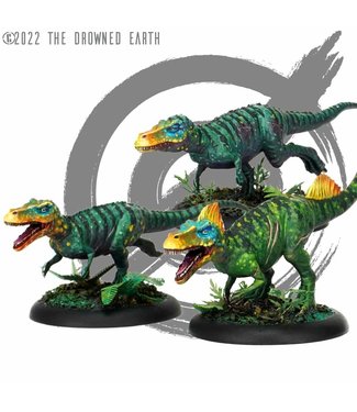 The Drowned Earth Miniatures Game Pre-order: Magnosors Boxed Set