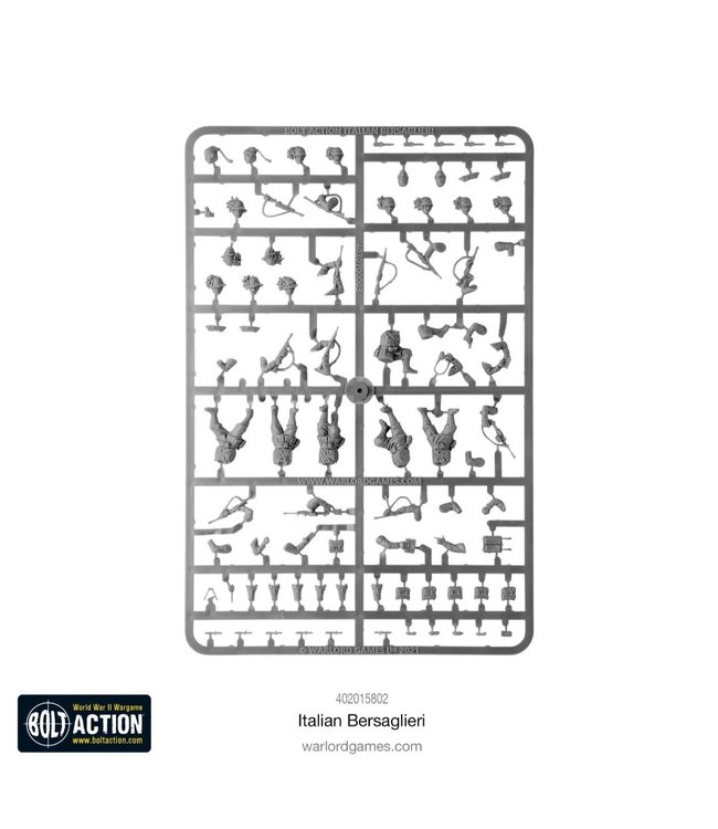 Italian Bersaglieri