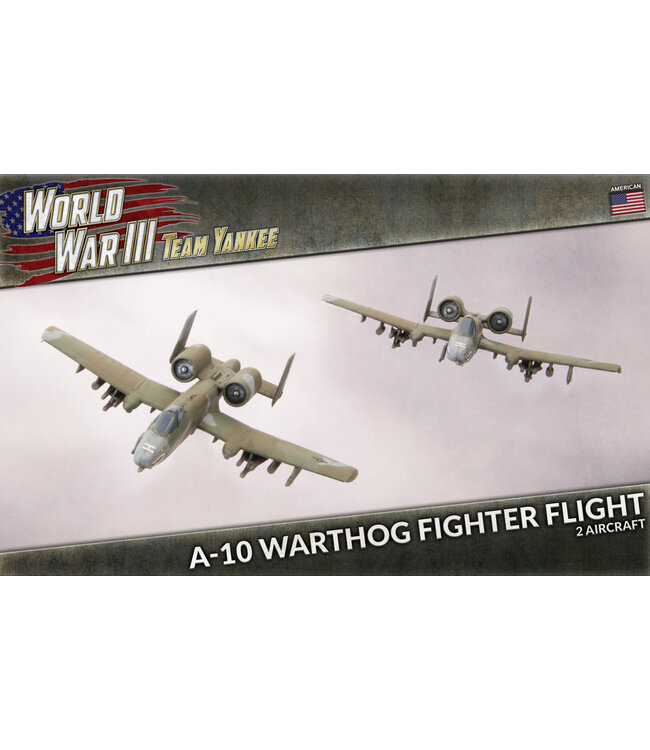 A-10 Warthog Fighter Flight