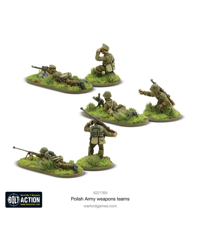 Polish Army Weapons Teams