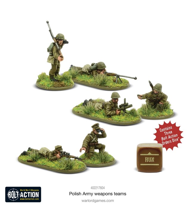 Polish Army Weapons Teams