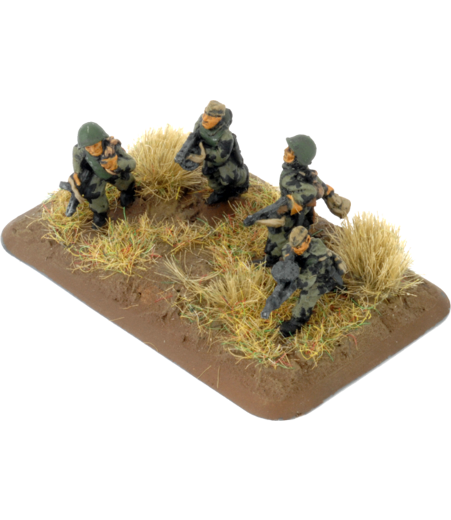 Engineer-Sapper Company