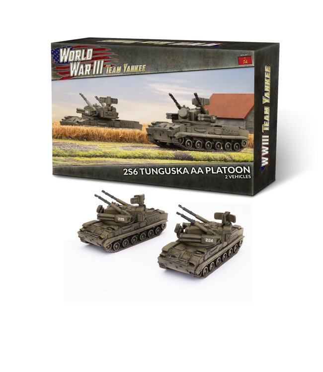2S6 Tunguska AA Platoon