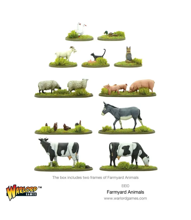 Farmyard Animals