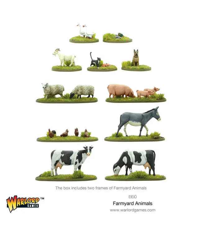 Farmyard Animals