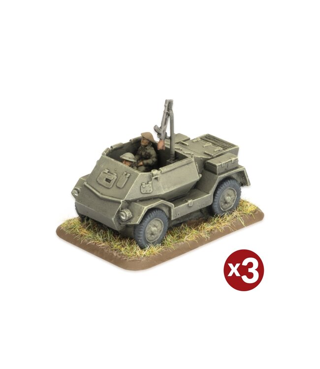 Indian Pattern Carrier