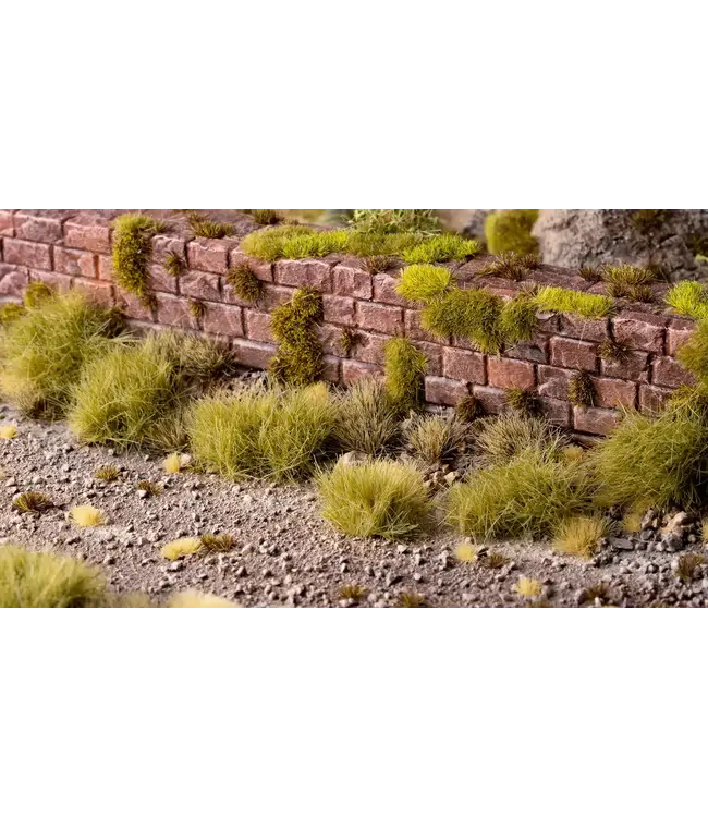 Dry Green XL Wild (12mm)