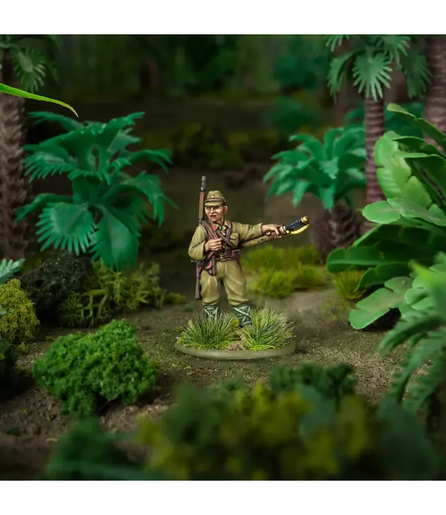 Armies of Imperial Japan: Third Edition