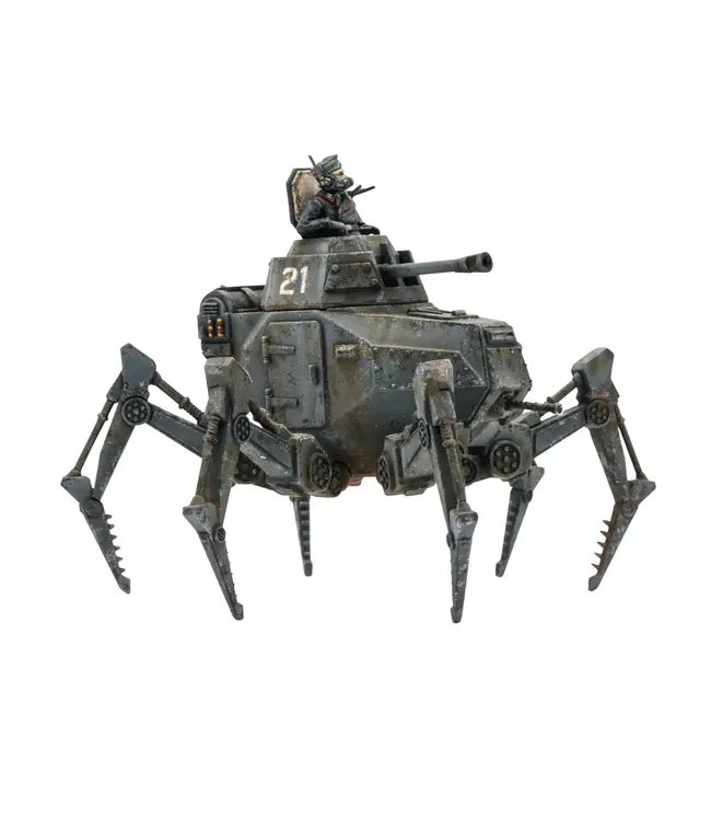 Vogelspinne Light Walker