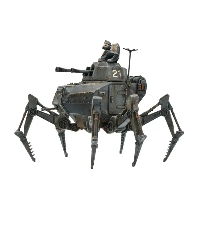 Vogelspinne Light Walker