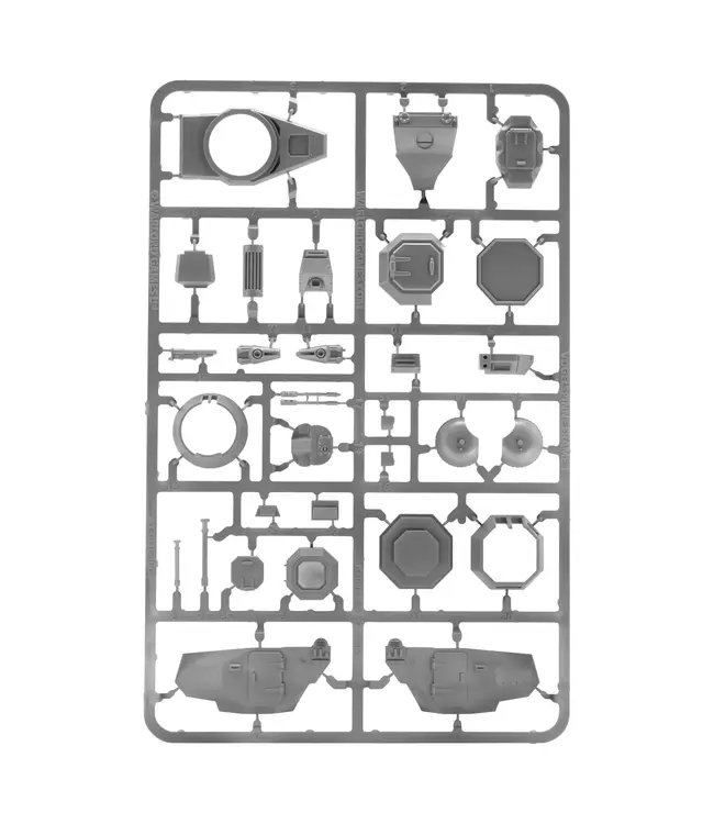 Vogelspinne Light Walker