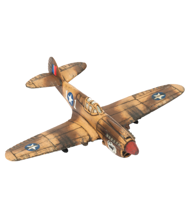 P-40 Warhawk Fighter Flight