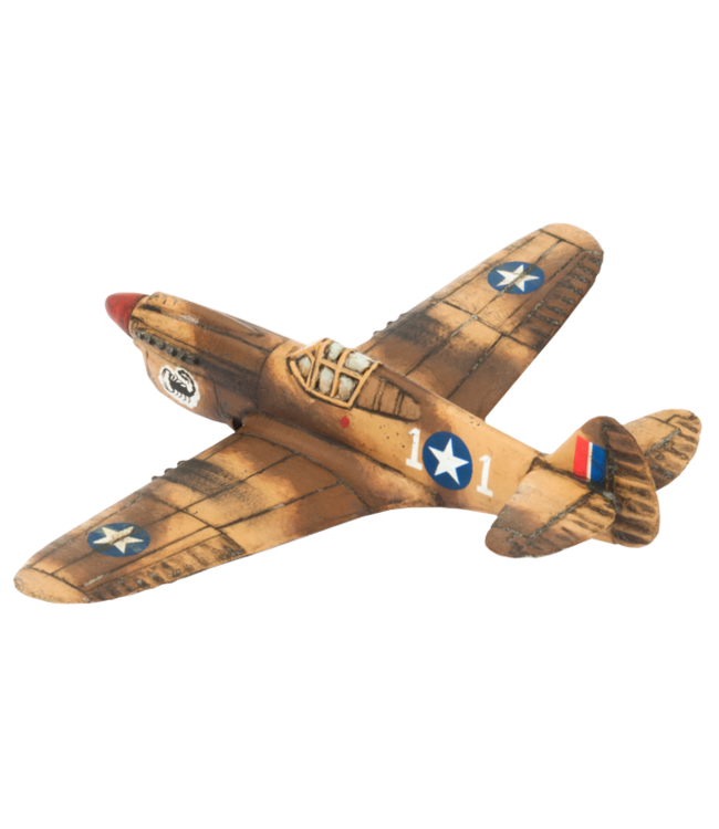 P-40 Warhawk Fighter Flight