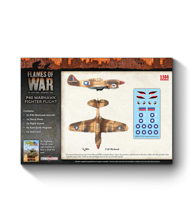 P-40 Warhawk Fighter Flight