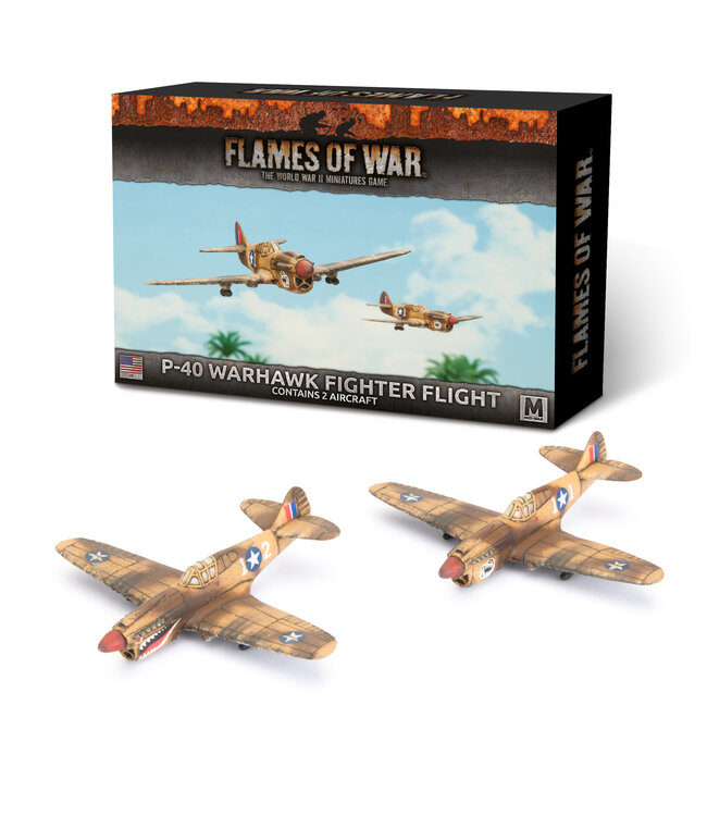 P-40 Warhawk Fighter Flight